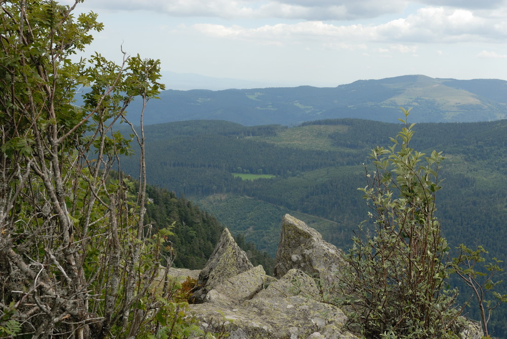 MKS_Alsace_050.jpg - Vandretur i bjergene ved Col de la Schlucht.