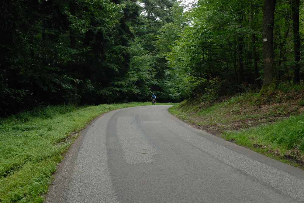 MKS_Alsace_099.jpg - Cykeltur igen. Denne gang til de 3 tårne. En tur på ca. 35 km med hårde stigninger. Lidt regn det meste af vejen.