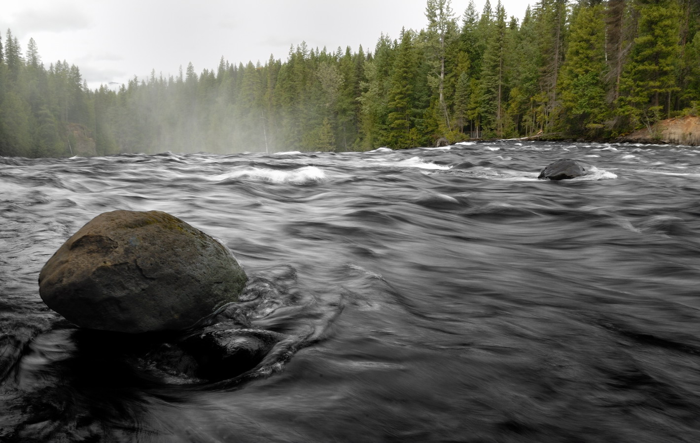 MKS_Can2011_1275.jpg - Wells Gray Provincial Park.