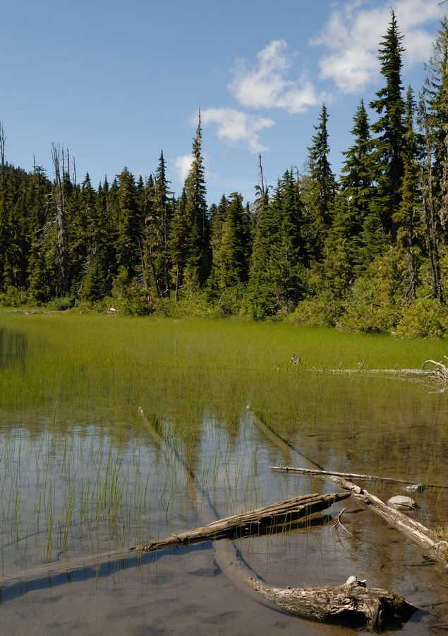 MKS_Can2011_1150.jpg - Lower Joffre lake, ved Joffre Lakes Park.