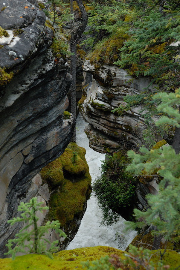 MKS_Can2011_2307.jpg - Athabasca Falls Canyon.