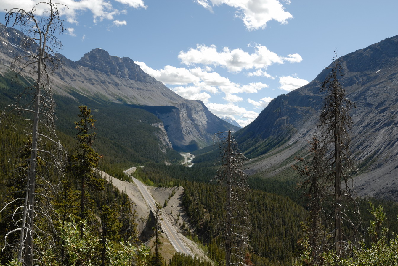 MKS_Can2011_2491.jpg - Icefields Parkway, mellem Jasper og Banff.