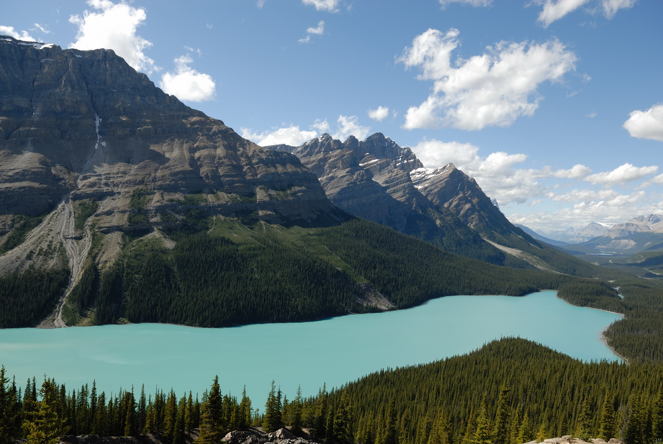 MKS_Can2011_2554.jpg - Peyto Lake.