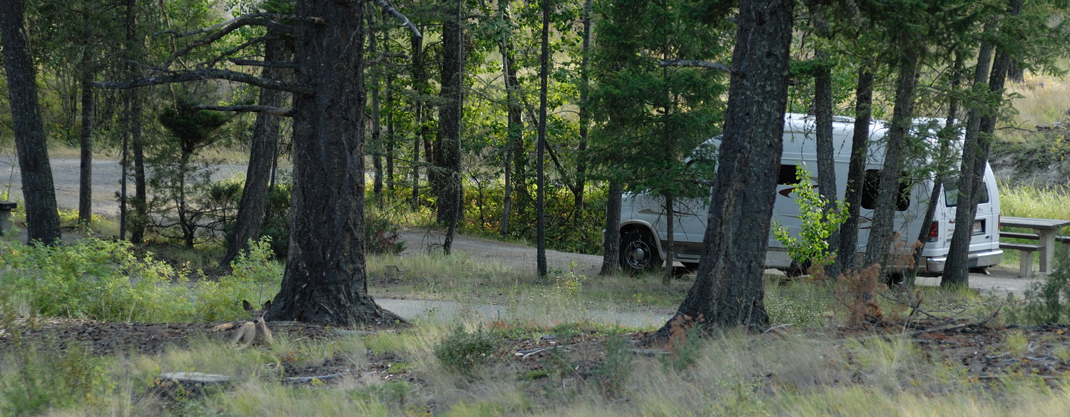 MKS_Can2011_3420.jpg - Redstreak Campground, ved Radium Hot Springs.